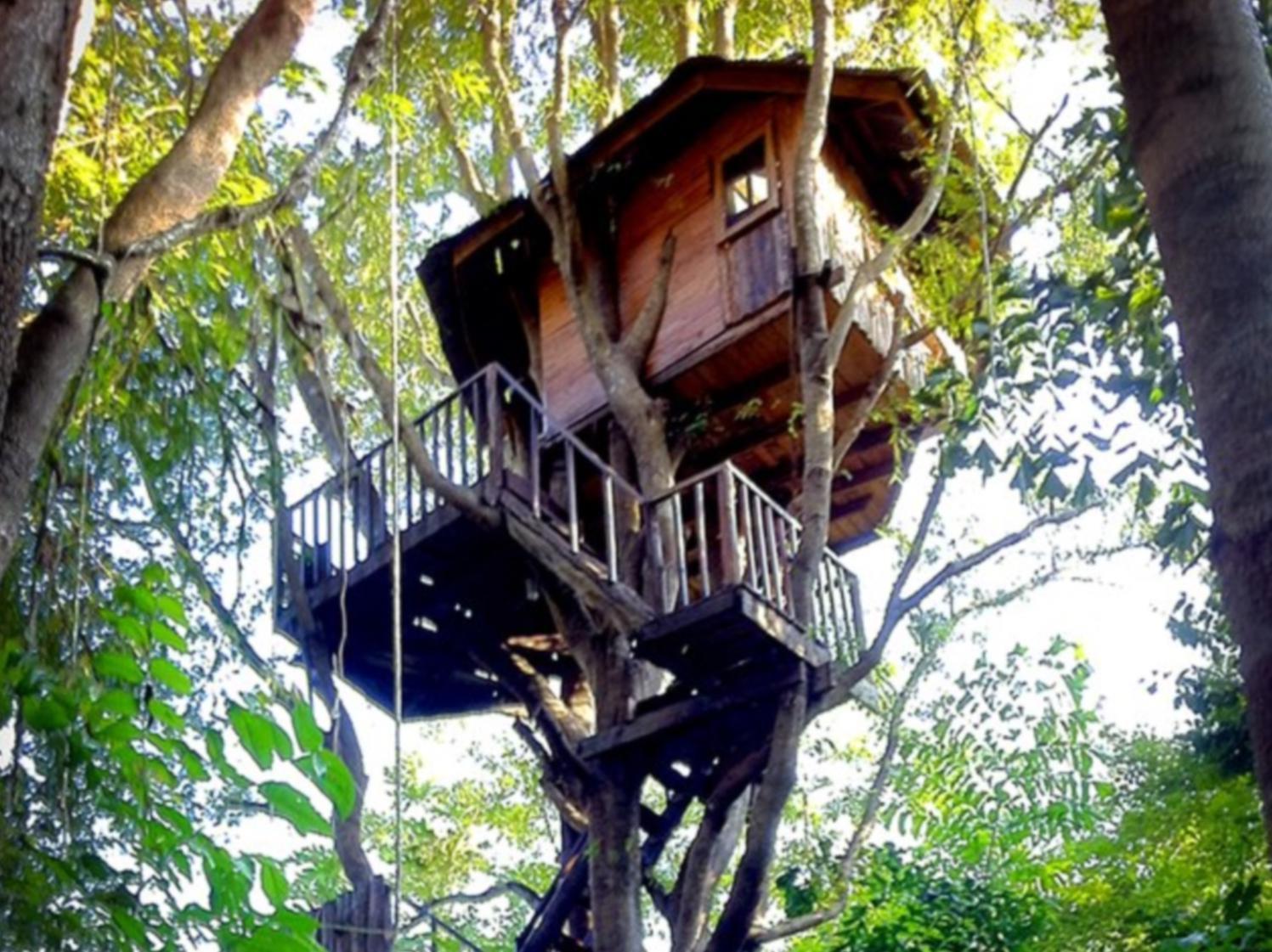 Rabeang Pasak Tree House Resort Chiang Mai Zewnętrze zdjęcie