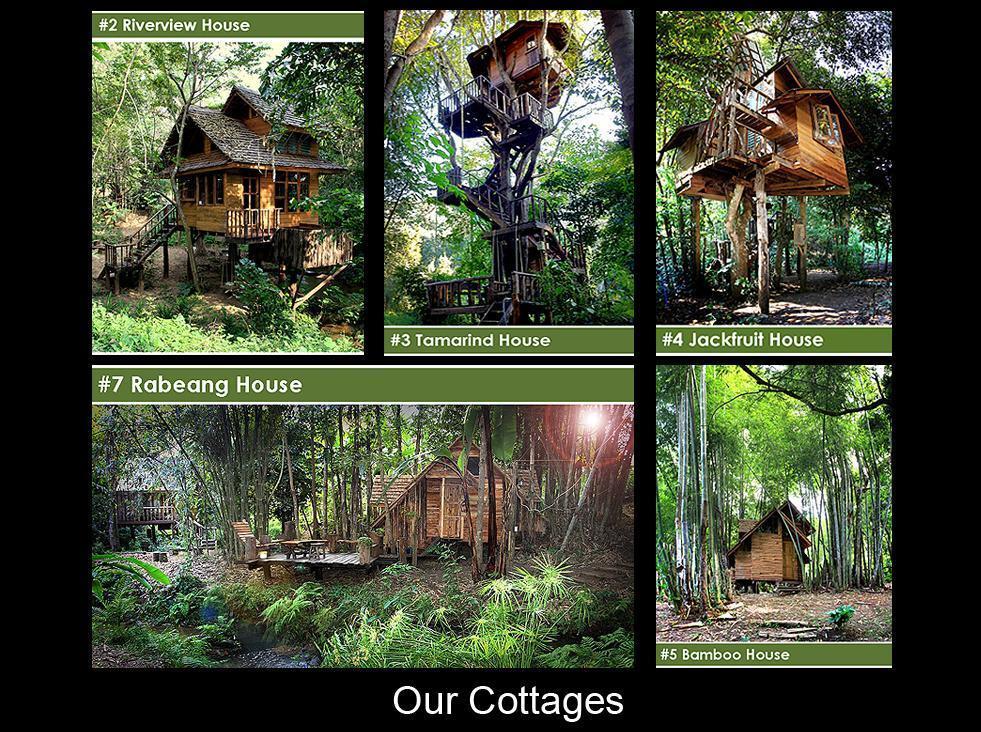 Rabeang Pasak Tree House Resort Chiang Mai Zewnętrze zdjęcie